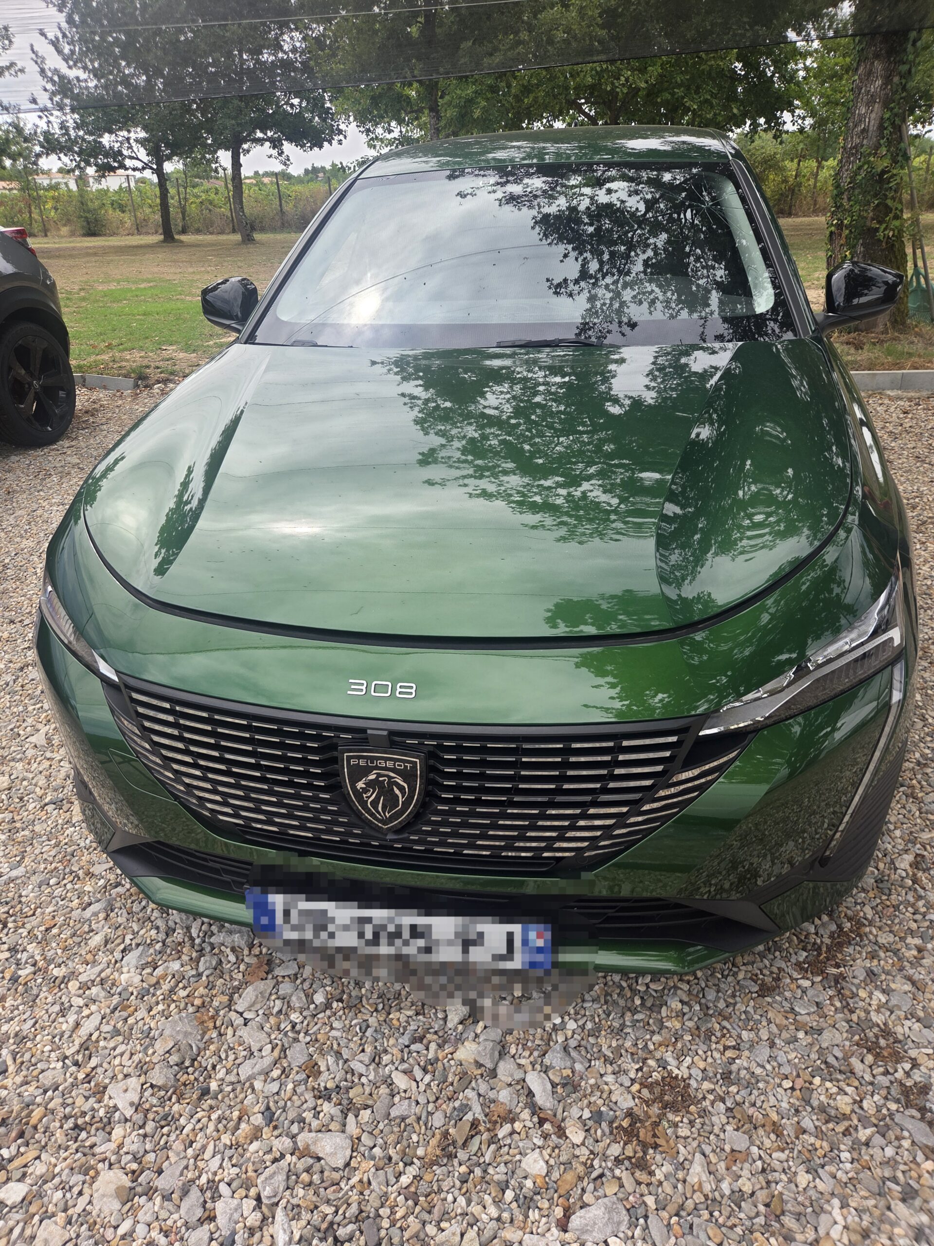 Peugeot 308 verte récente sur graviers chez express, cadre verdoyant en Tarn-et-Garonne